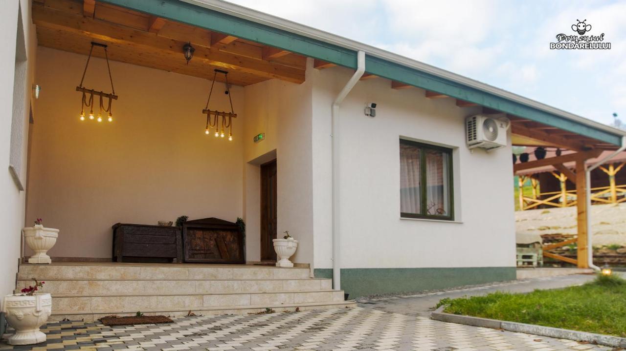 Hotel Domeniul Bondarelului à Ocolisu Mic Extérieur photo