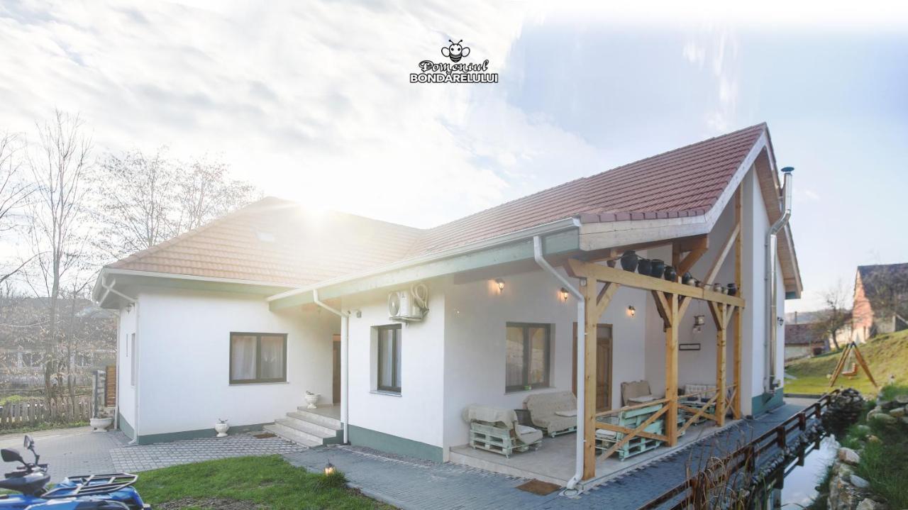 Hotel Domeniul Bondarelului à Ocolisu Mic Extérieur photo