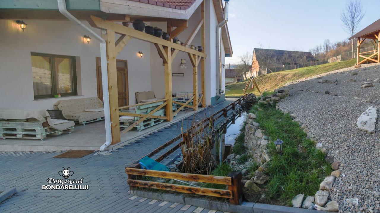 Hotel Domeniul Bondarelului à Ocolisu Mic Extérieur photo